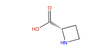 (S)-2-Azetidinecarboxylic acid